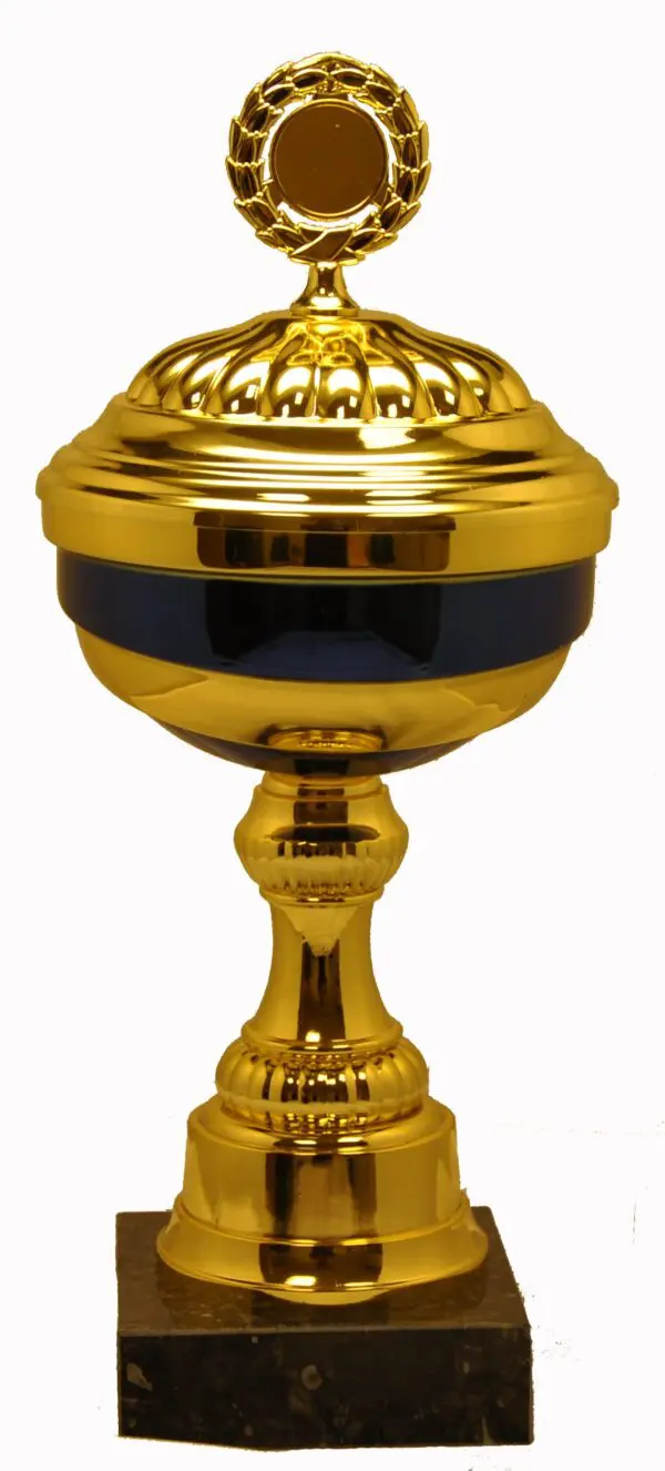 2207, Guldpokal med blå rand