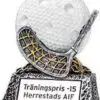Statyett Innebandy