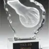 Glasstayett Handboll