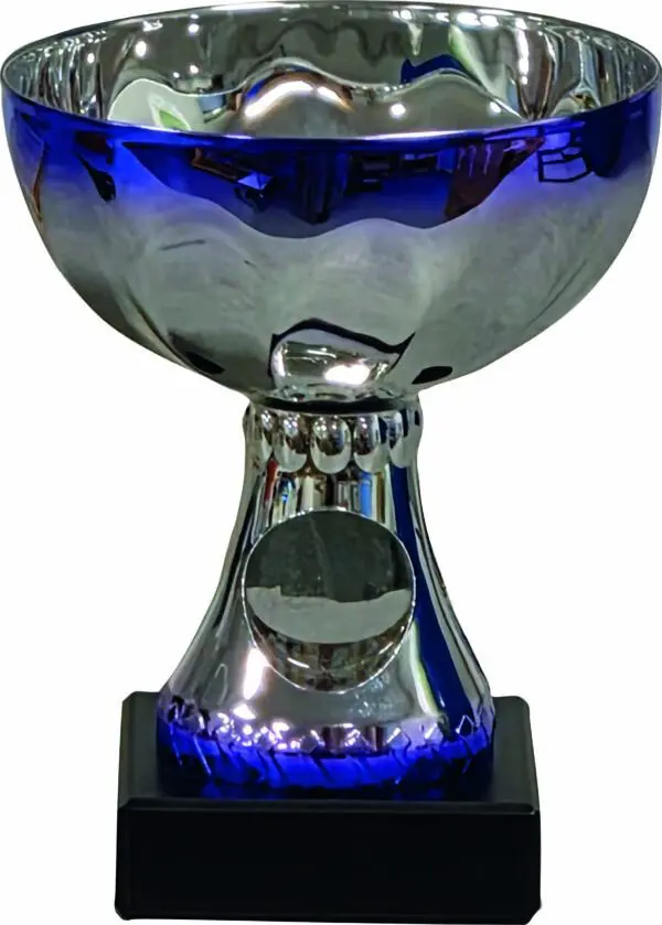 2000-2, Silver/blå pokal