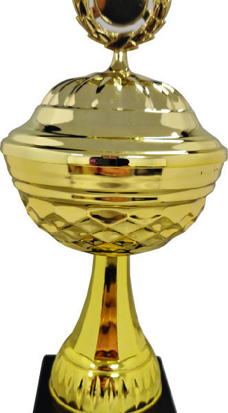 5502, Guldpokal med lock