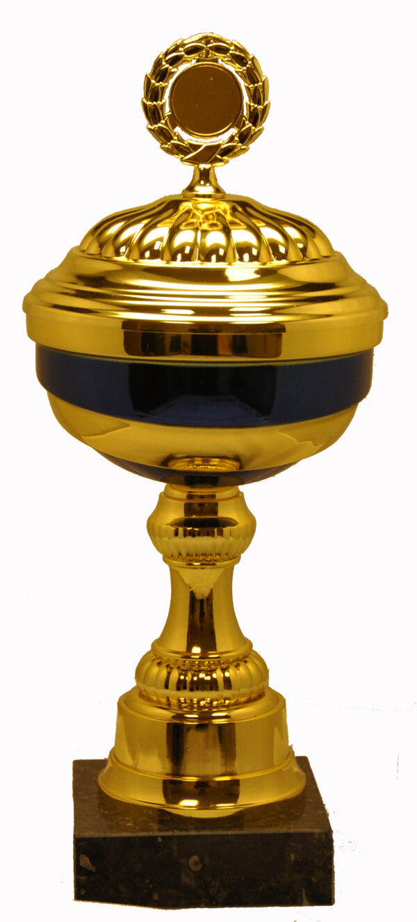 2207, Guldpokal med blå rand