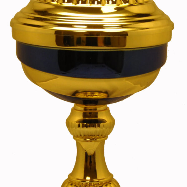 2207, Guldpokal med blå rand