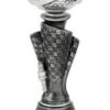Pokal, Indianapolis