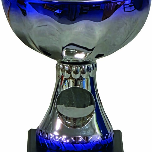 2000-2, Silver/blå pokal