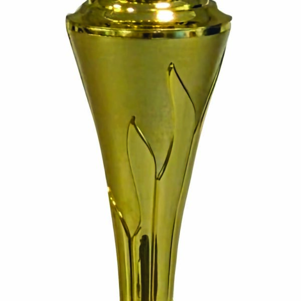 5710, Exklusiv guldpokal utan lock